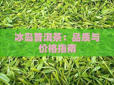 冰岛普洱茶：品质与价格指南