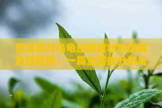 普洱茶对乌龟白眼症状的缓解及预防措：一篇全面的分析与指南