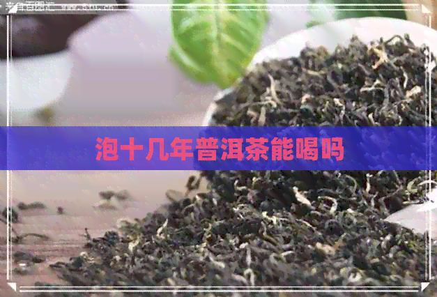 泡十几年普洱茶能喝吗