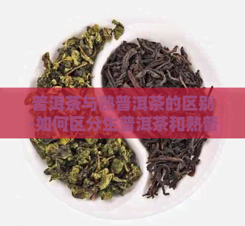 普洱茶与熟普洱茶的区别-如何区分生普洱茶和熟普洱茶