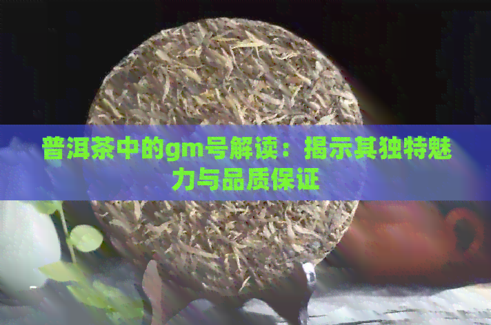 普洱茶中的gm号解读：揭示其独特魅力与品质保证