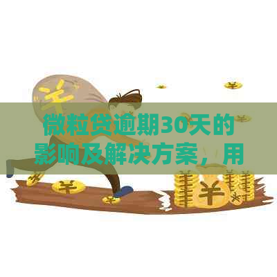 微粒贷逾期30天的影响及解决方案，用户常见问题全面解答