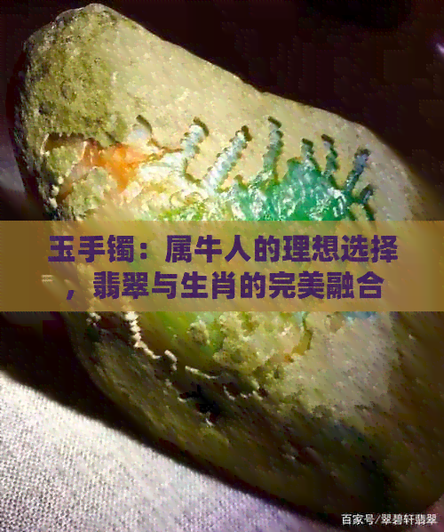 玉手镯：属牛人的理想选择，翡翠与生肖的完美融合