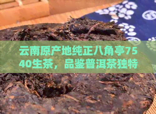 云南原产地纯正八角亭7540生茶，品鉴普洱茶独特风味