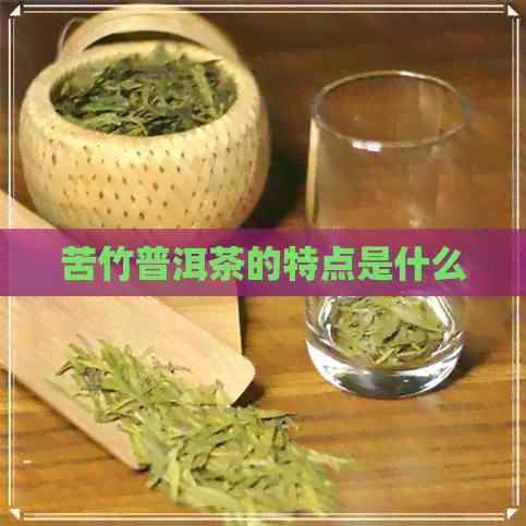 苦竹普洱茶的特点是什么