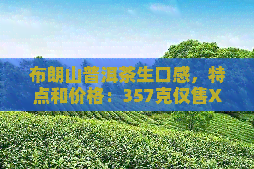 布朗山普洱茶生口感，特点和价格：357克仅售XXX元！