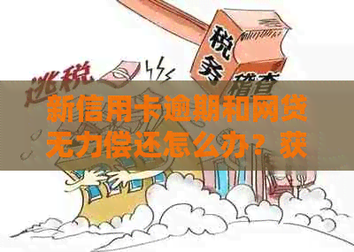 新信用卡逾期和网贷无力偿还怎么办？获取解决方案的关键步骤！