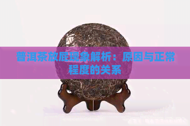 普洱茶放屁现象解析：原因与正常程度的关系