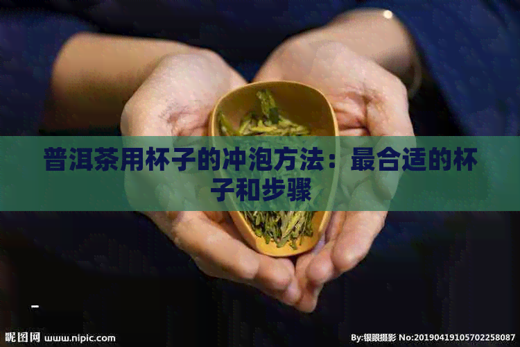 普洱茶用杯子的冲泡方法：最合适的杯子和步骤