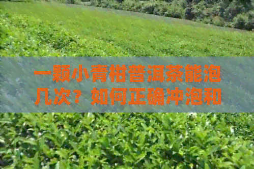 一颗小青柑普洱茶能泡几次？如何正确冲泡和保存普洱茶？