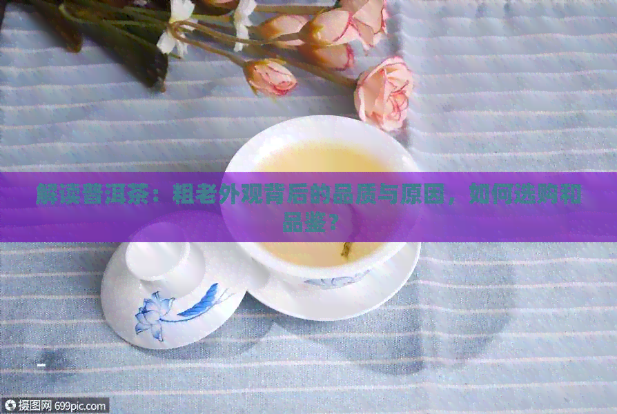 解读普洱茶：粗老外观背后的品质与原因，如何选购和品鉴？