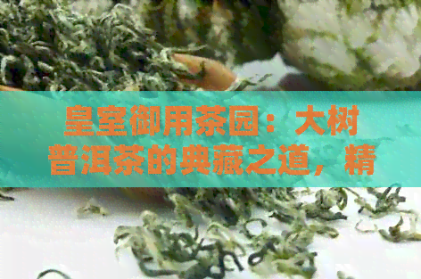 皇室御用茶园：大树普洱茶的典藏之道，精品系列