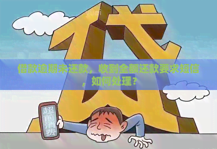 借款逾期未还款，收到全额还款要求短信，如何处理？