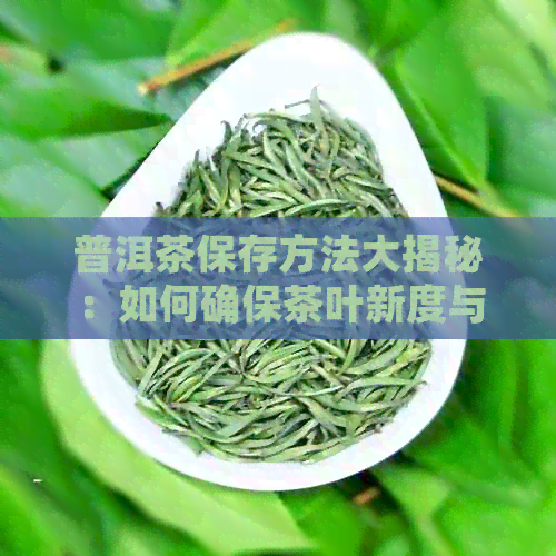 普洱茶保存方法大揭秘：如何确保茶叶新度与口感？