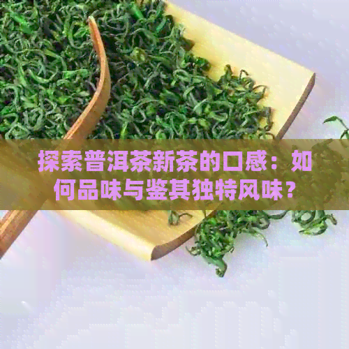 探索普洱茶新茶的口感：如何品味与鉴其独特风味？