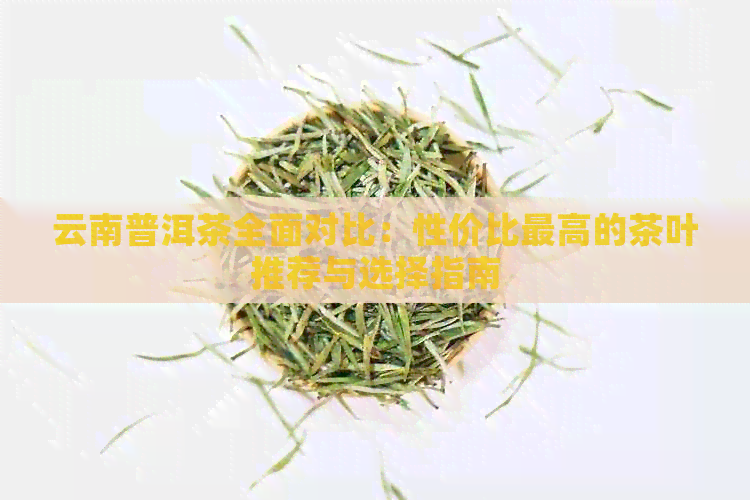 云南普洱茶全面对比：性价比更高的茶叶推荐与选择指南