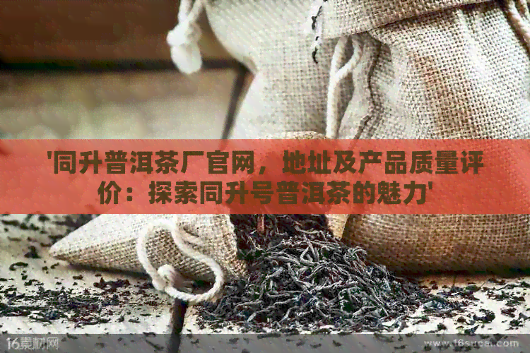 '同升普洱茶厂官网，地址及产品质量评价：探索同升号普洱茶的魅力'