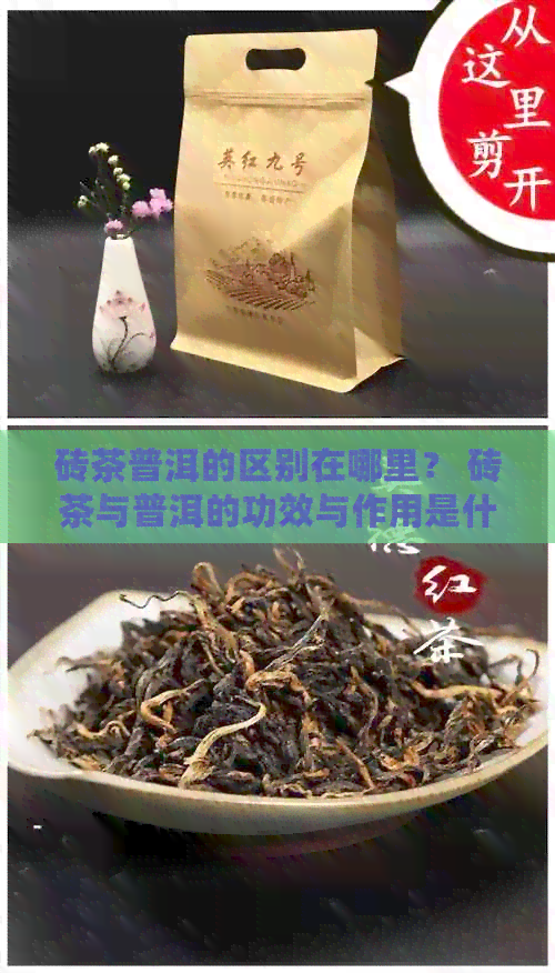 砖茶普洱的区别在哪里？ 砖茶与普洱的功效与作用是什么？