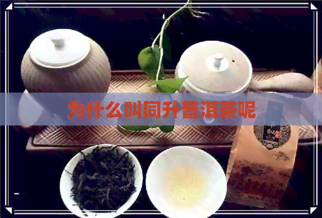 为什么叫同升普洱茶呢