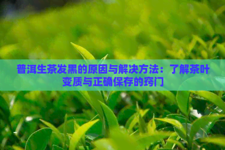 普洱生茶发黑的原因与解决方法：了解茶叶变质与正确保存的窍门