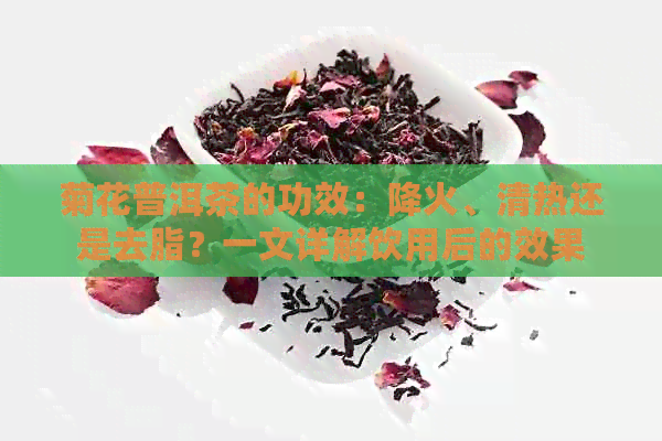 菊花普洱茶的功效：降火、清热还是去脂？一文详解饮用后的效果