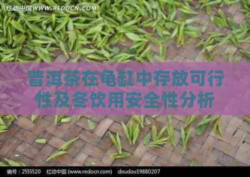 普洱茶在龟缸中存放可行性及冬饮用安全性分析