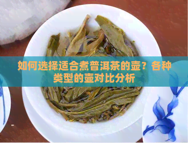 如何选择适合煮普洱茶的壶？各种类型的壶对比分析