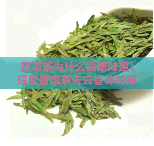 普洱茶为什么没啥味道：探究普洱茶失去香味的原因-普洱茶为什么没有香味