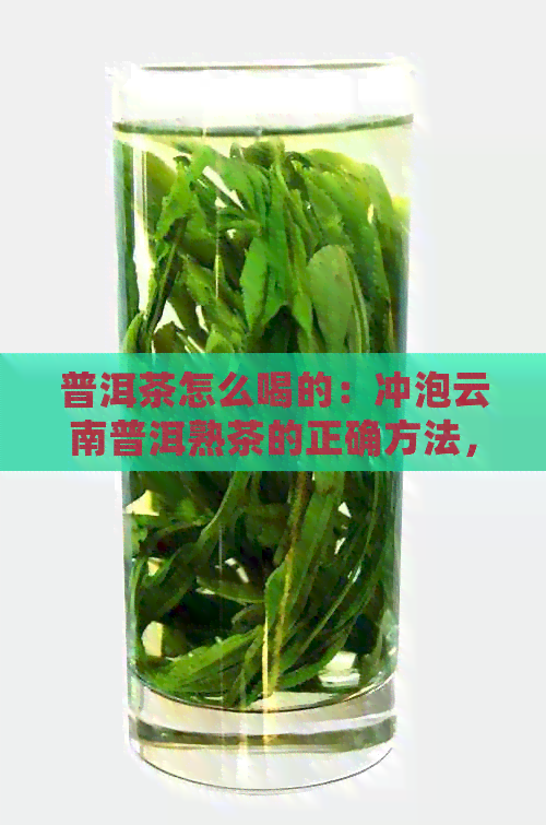 普洱茶怎么喝的：冲泡云南普洱熟茶的正确方法，让你品尝到醇厚口感