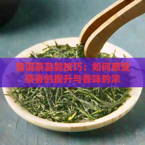 普洱茶品尝技巧：如何感受茶香的提升与香味的浓