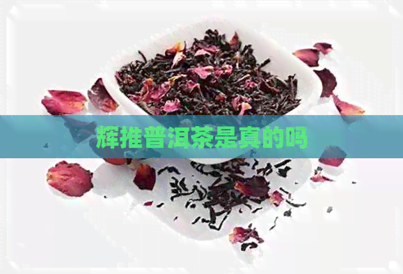 辉推普洱茶是真的吗