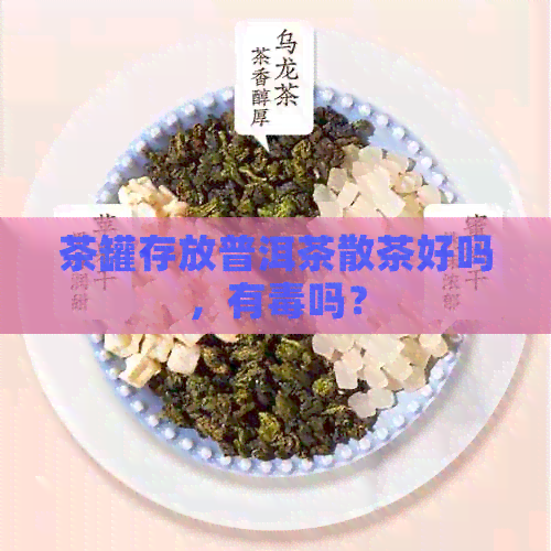 茶罐存放普洱茶散茶好吗，有吗？