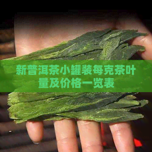 新普洱茶小罐装每克茶叶量及价格一览表