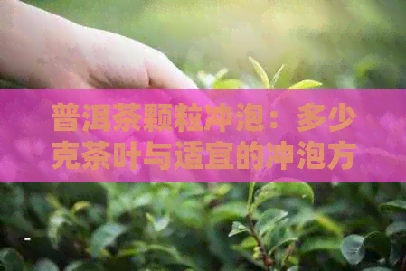 普洱茶颗粒冲泡：多少克茶叶与适宜的冲泡方法