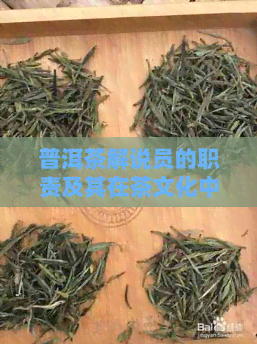 普洱茶解说员的职责及其在茶文化中的重要性