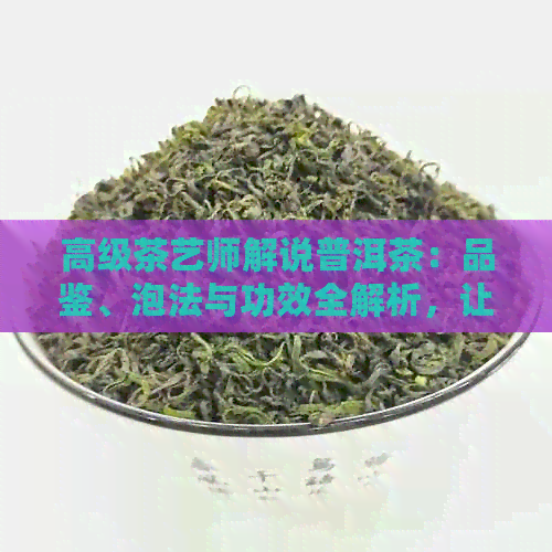 高级茶艺师解说普洱茶：品鉴、泡法与功效全解析，让您全面了解普洱茶的魅力