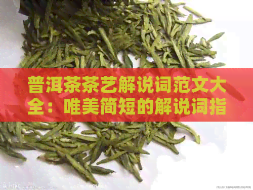 普洱茶茶艺解说词范文大全：唯美简短的解说词指南