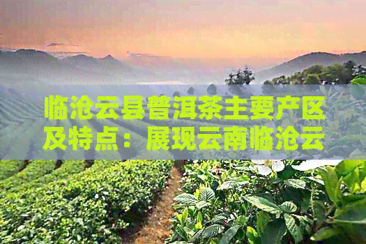 临沧云县普洱茶主要产区及特点：展现云南临沧云县普洱茶的独特魅力