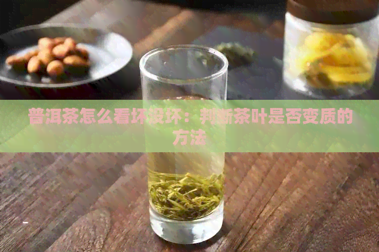 普洱茶怎么看坏没坏：判断茶叶是否变质的方法