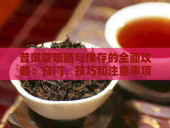 普洱茶晾晒与保存的全面攻略：窍门、技巧和注意事项