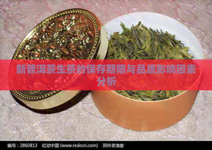 新普洱茶生茶的保存期限与品质影响因素分析