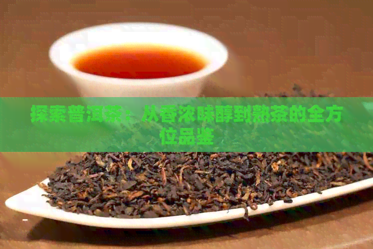 探索普洱茶：从香浓味醇到熟茶的全方位品鉴