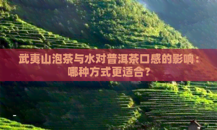 武夷山泡茶与水对普洱茶口感的影响：哪种方式更适合？