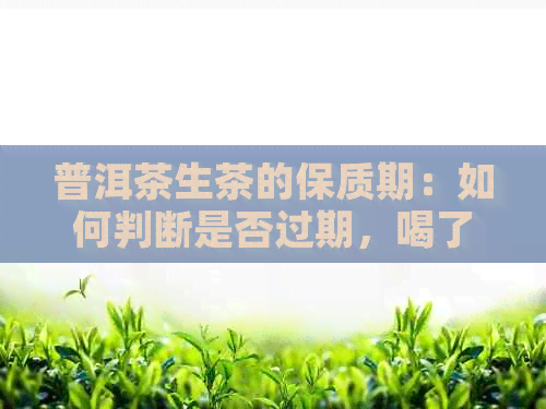 普洱茶生茶的保质期：如何判断是否过期，喝了会有影响吗？