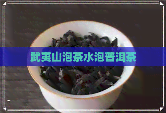 武夷山泡茶水泡普洱茶