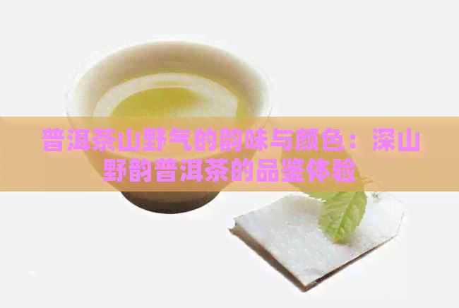 普洱茶山野气的韵味与颜色：深山野韵普洱茶的品鉴体验