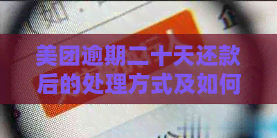 美团逾期二十天还款后的处理方式及如何恢复借款资格