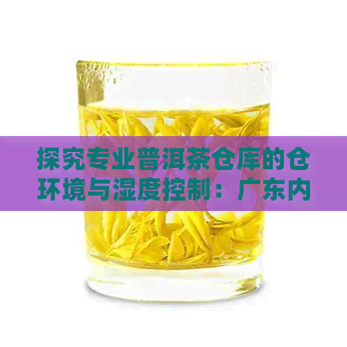 探究专业普洱茶仓库的仓环境与湿度控制：广东内部图片揭秘