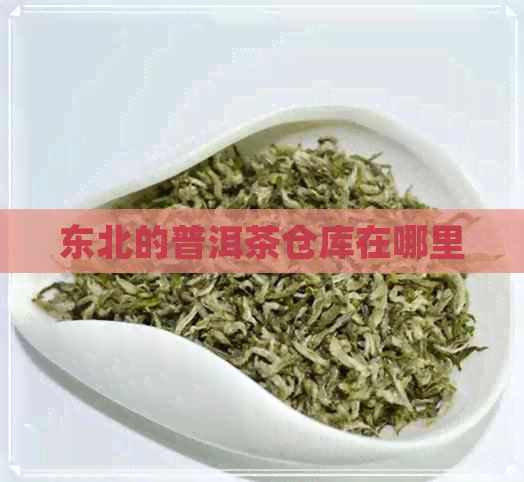 东北的普洱茶仓库在哪里