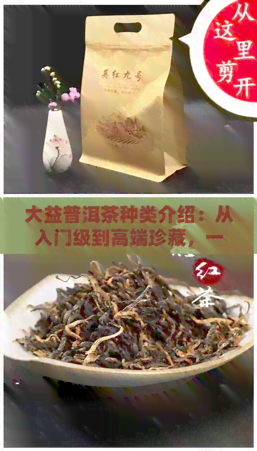 大益普洱茶种类介绍：从入门级到高端珍藏，一网打尽！